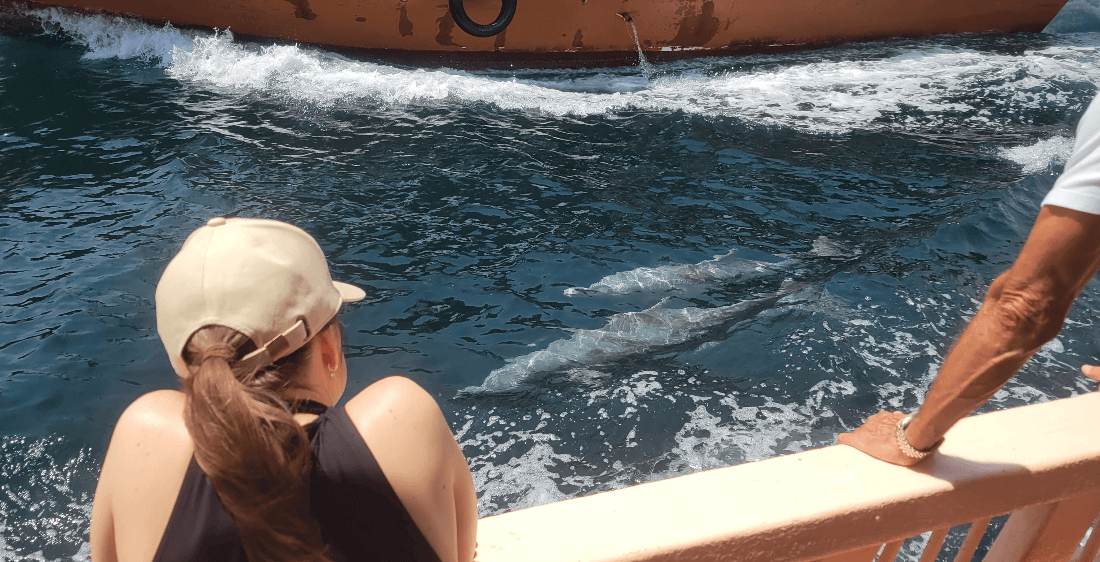 A Dolphin Watching Tour in Musandam Oman