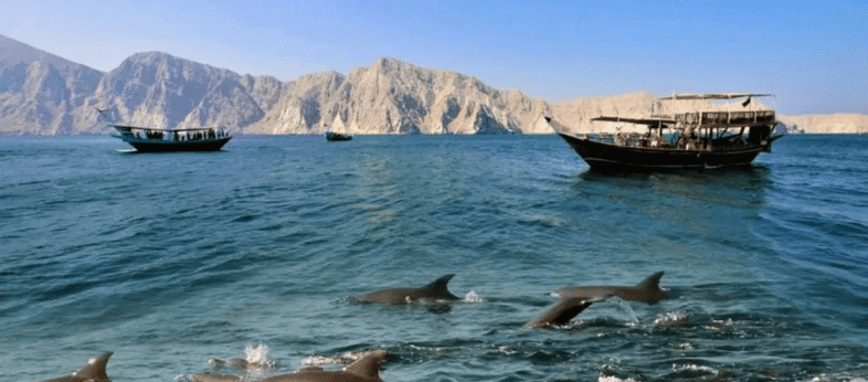Musandam tour from Dubai, Sharjah & RAK