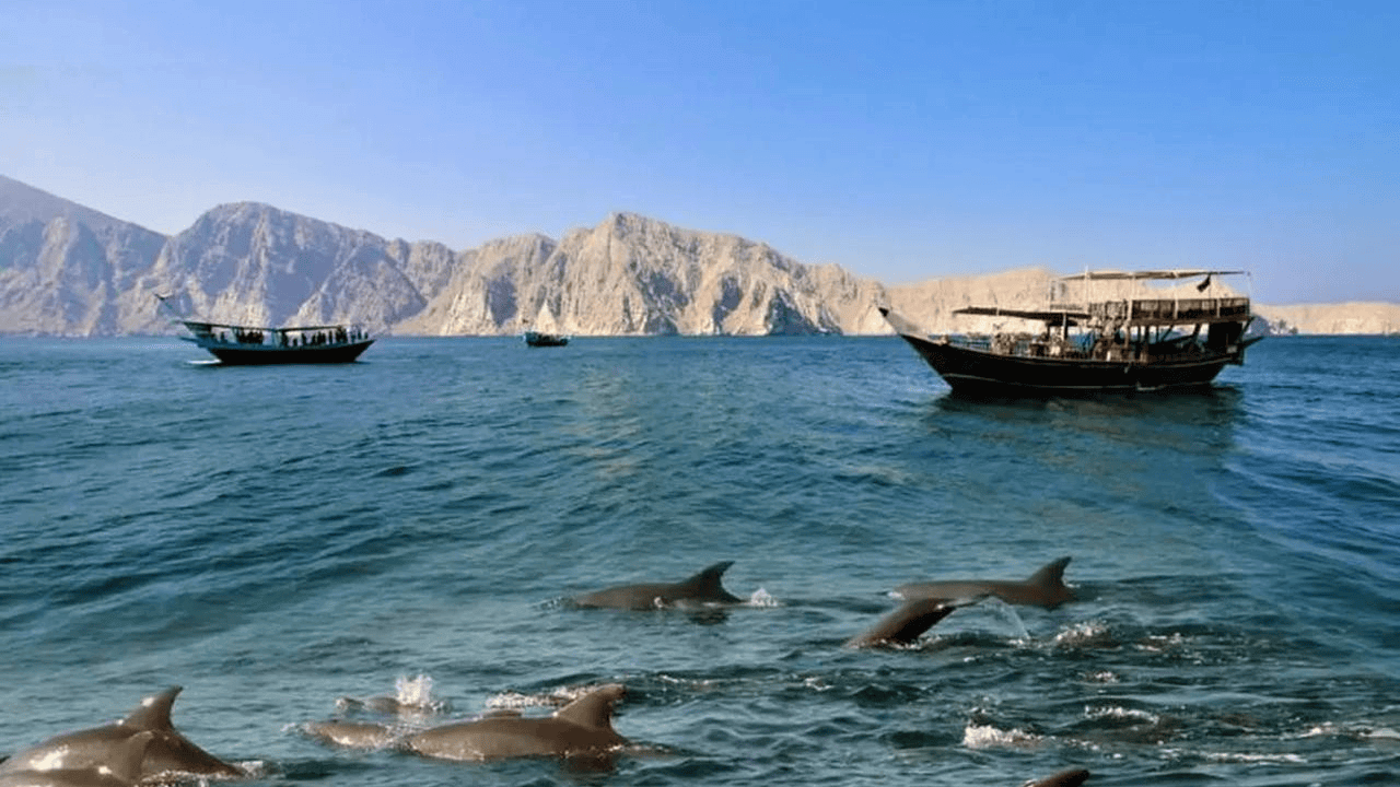 Musandam tour from Dubai, Sharjah & RAK